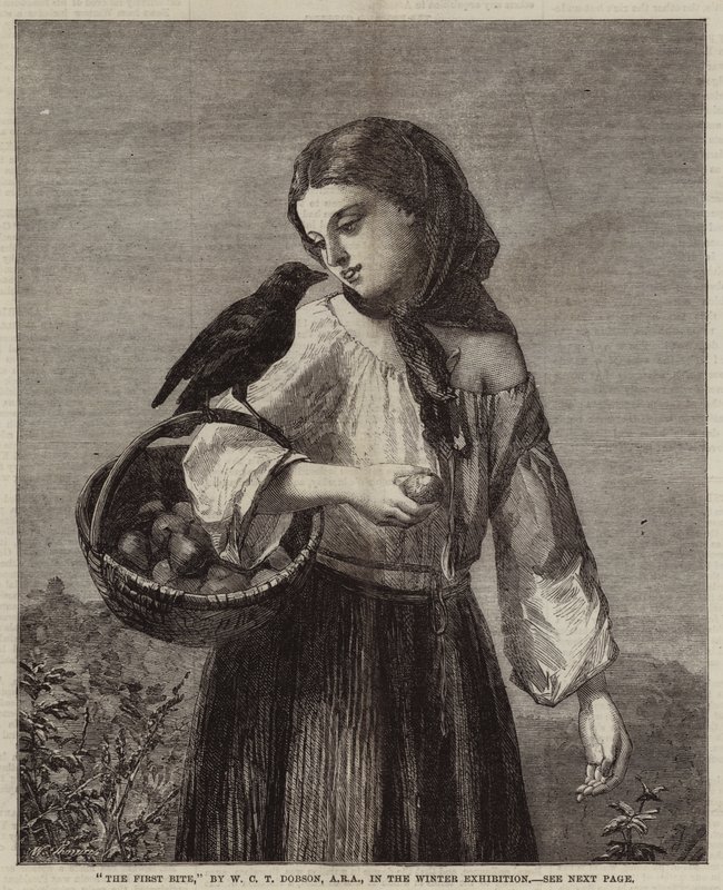 Ensimmäinen purema tekijältä William Dobson