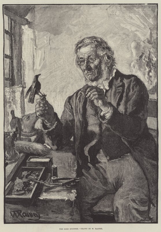 Bird Stuffer tekijältä William Rainey