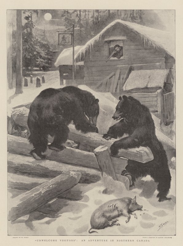 Unwelcome Visitors, seikkailu Pohjois-Kanadassa tekijältä William Small