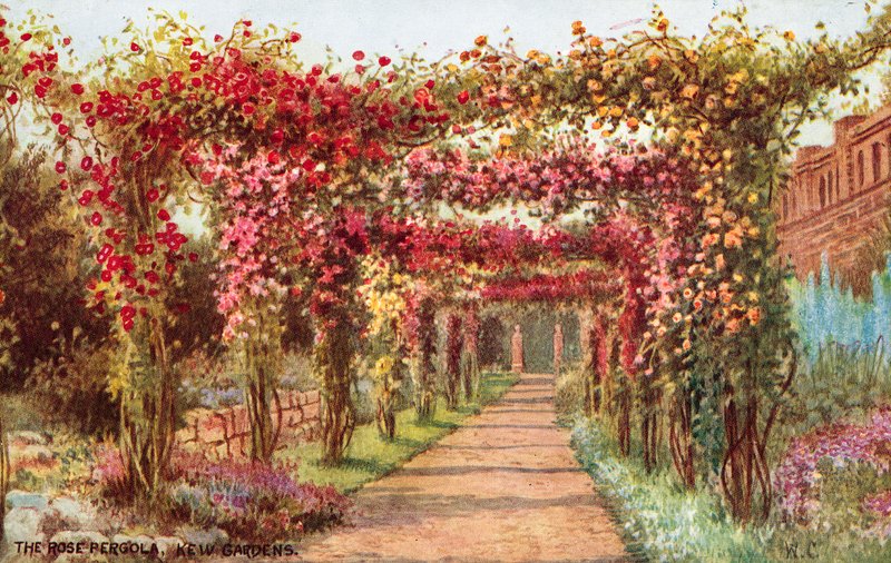 Rose Pergola, Kew Gardens tekijältä William Affleck Carruthers