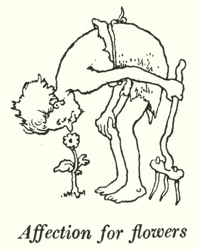 Kiintymys kukkiin (litho) tekijältä William Heath Robinson