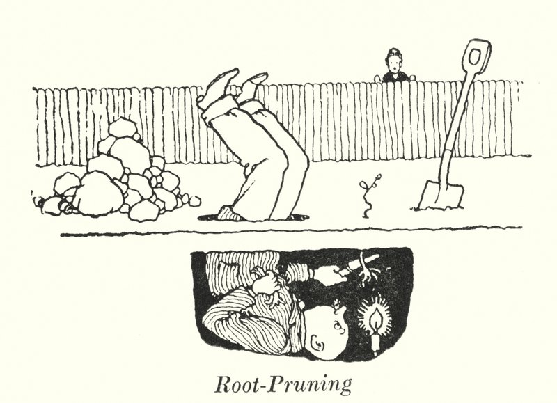 Juuren karsiminen (litho) tekijältä William Heath Robinson