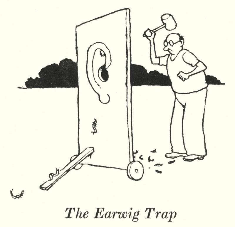 The Earwig Trap (litho) tekijältä William Heath Robinson