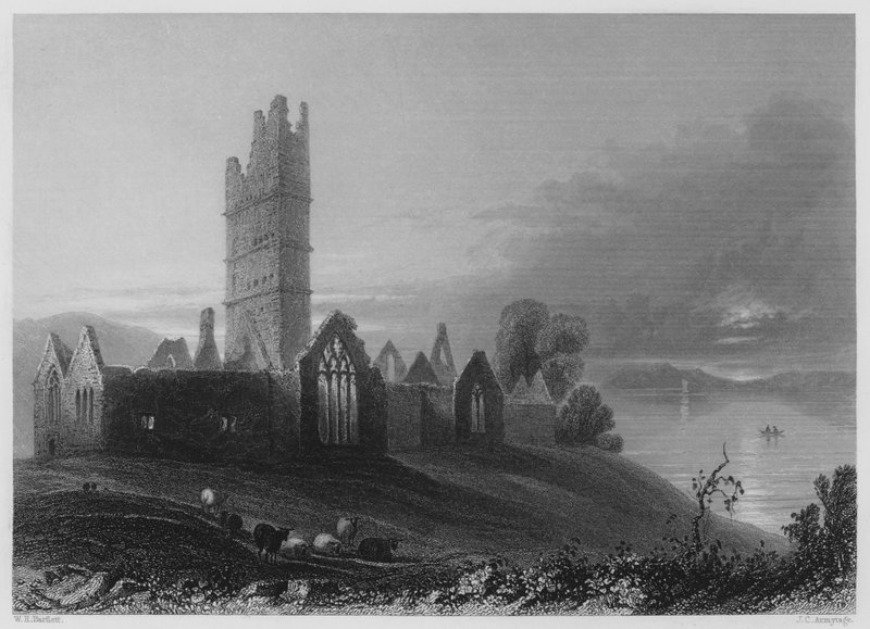 Abbey of Moyne (kaiverrus) tekijältä William Henry (after) Bartlett