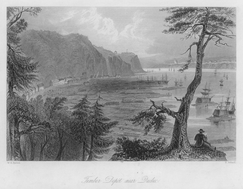 Puuvarasto lähellä Quebecia (kaiverrus) tekijältä William Henry Bartlett