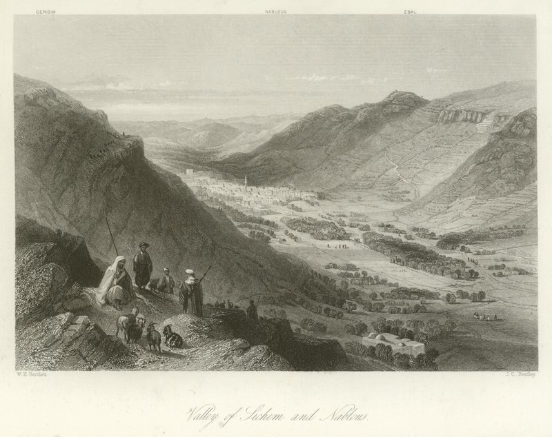 Sichemin ja Nablusin laakso, Palestiina tekijältä William Henry Bartlett