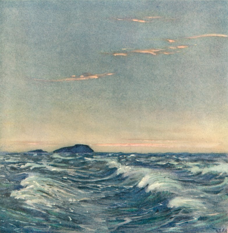 Valkoiset hevoset tekijältä after Donald Maxwell
