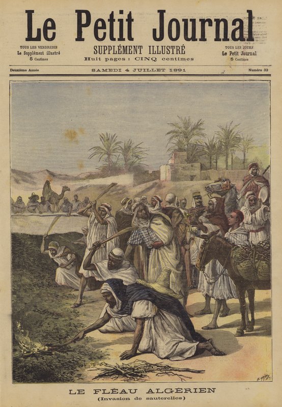 Algerian rutto tekijältä after Henri Meyer