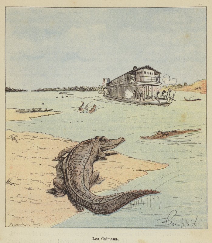 Alligaattorit tekijältä after Louis Charles Bombled